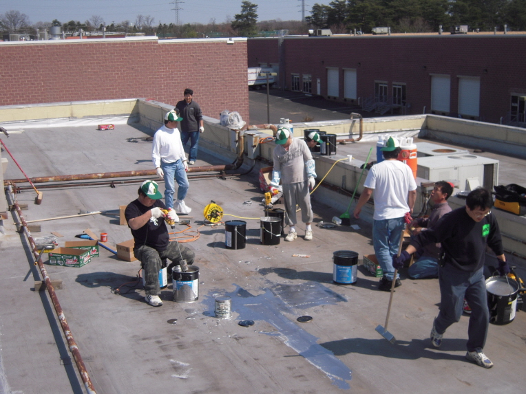 Resized_va roof 010.jpg